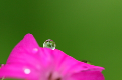 真ん丸に憧れて