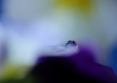 雫