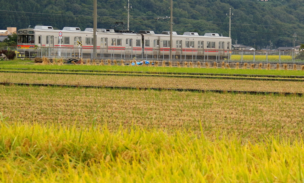 ガッタンゴットン～♪　走ります2