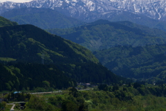 大自然の中のカボチャ電車君