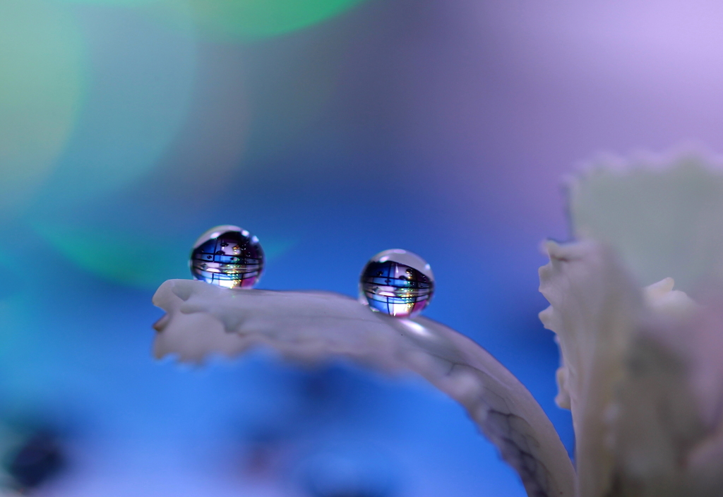 心海ＤＲＯＰＳ　20