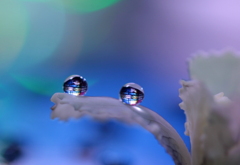 心海ＤＲＯＰＳ　20