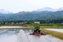 ボクの生きる道・・・