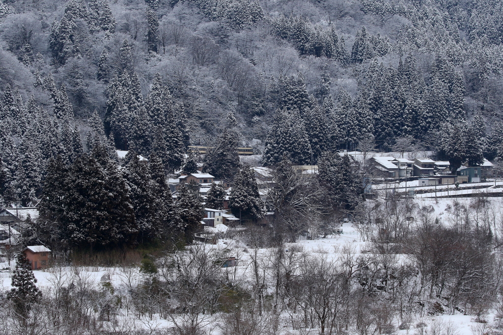 続、かくれんぼ♪