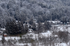 続、かくれんぼ♪