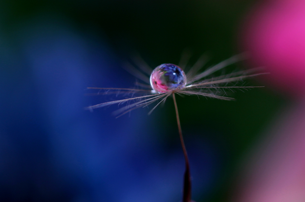 物語は始まったばかり・・・