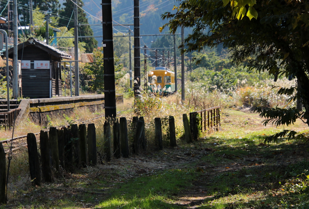 待つ時間・・・・かぼちゃ君～♪
