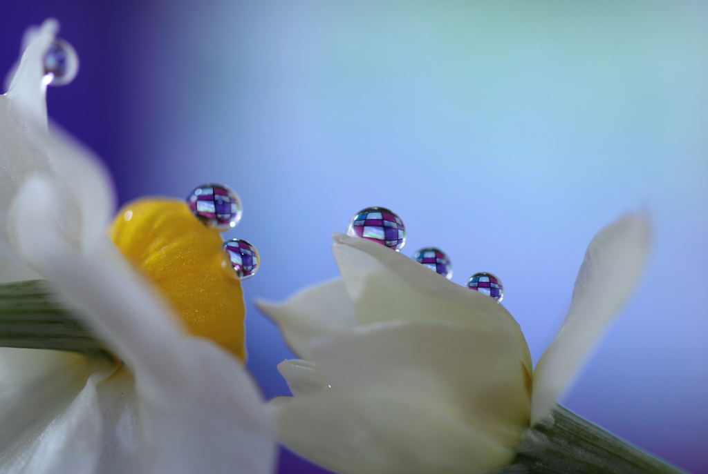 分け合いｆｉｎｅ