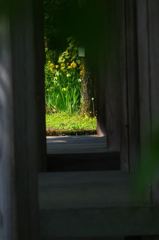 陽の当たる場所