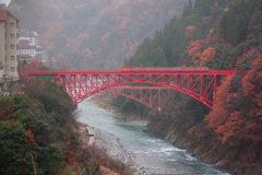 今年最後のトロッコ電車～2