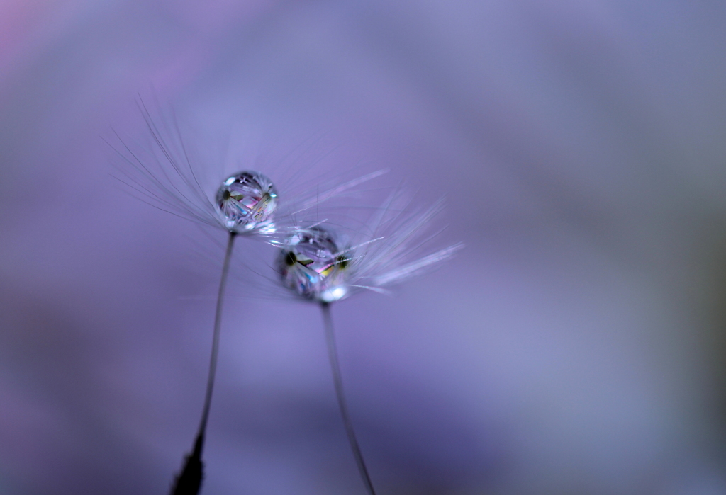 ららら・・・♪　ｌｏｖｅ