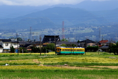 かぼちゃ君が行く～♪
