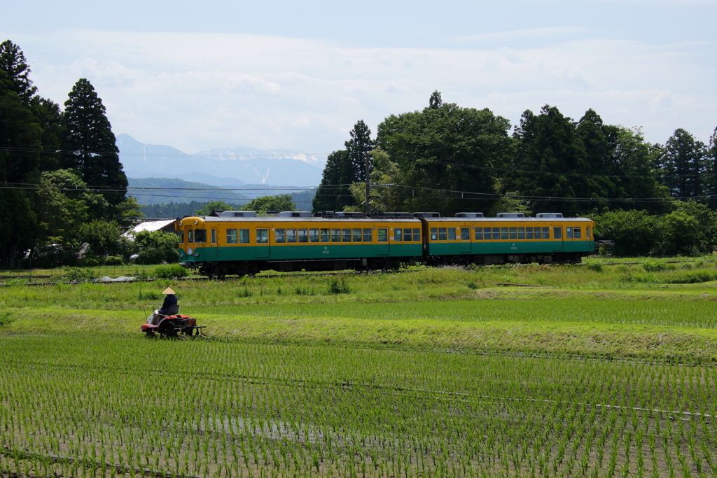 かぼちゃ君～♪