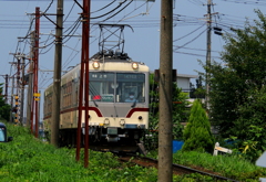 頑張るダイコン君～♪