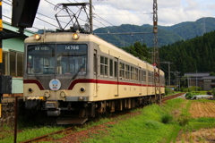 ダイコン君～♪