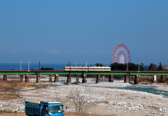 ダイコン君と観覧車