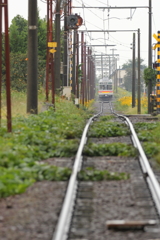 後ろ姿に見とれて