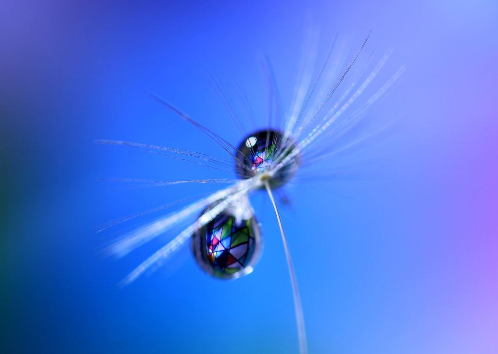 心海ｄｒｏｐｓ