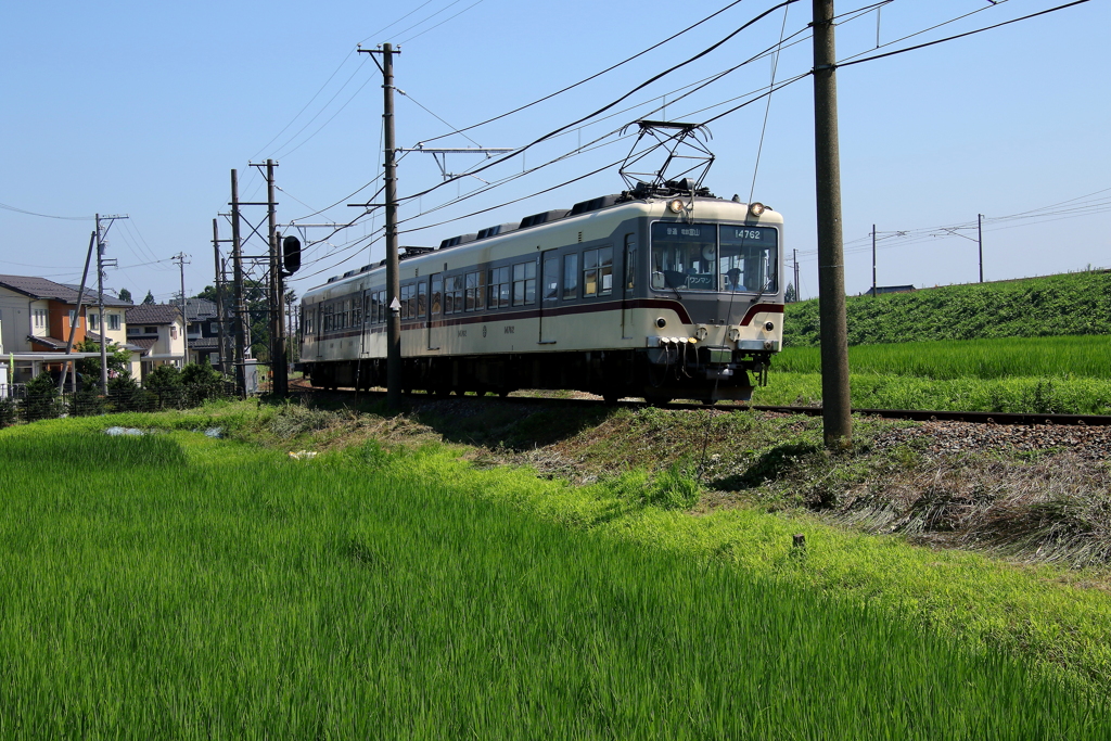 猛暑の中ダイコン電車君が行く～♪