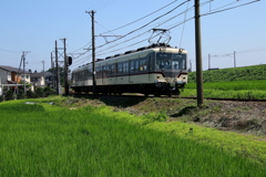 猛暑の中ダイコン電車君が行く～♪