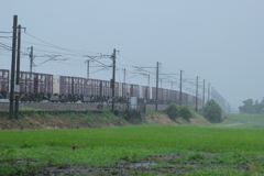 雨の日は鉄子が喜ぶ！
