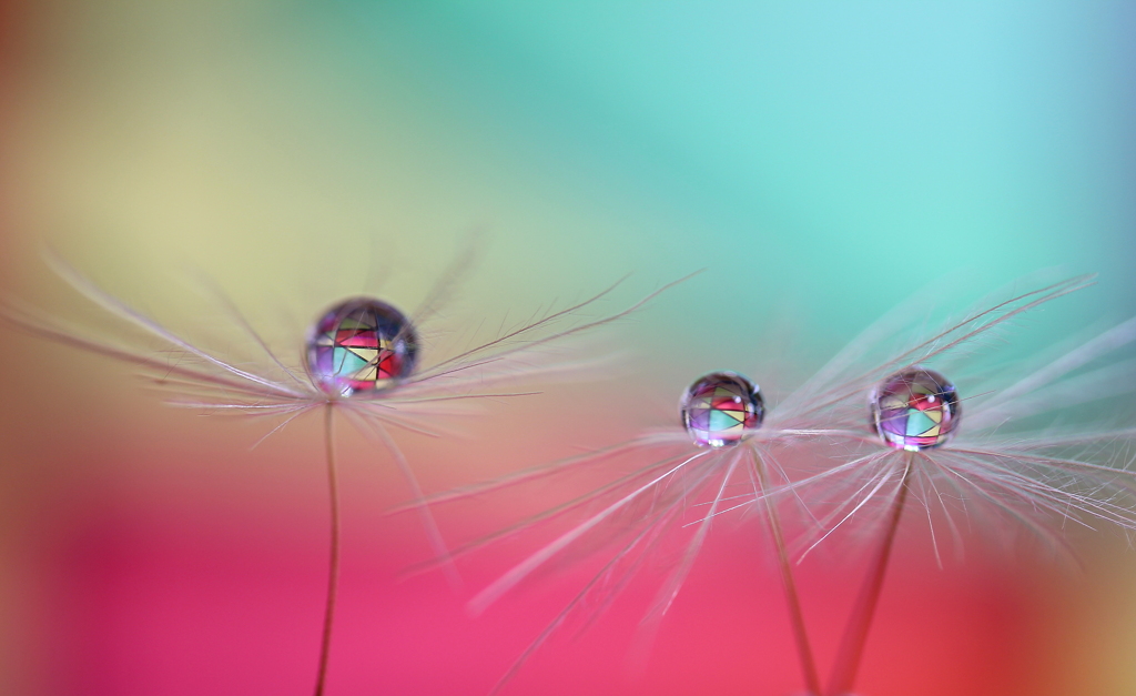 心海ｄｒｏｐｓ