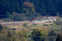 ススキの中をアルペン号が走る