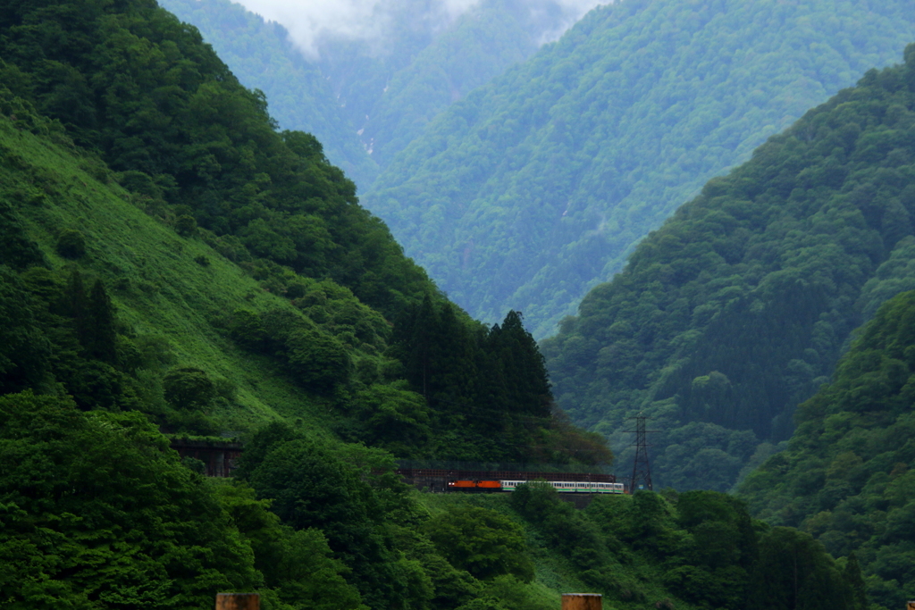 5月～♪　トロッコ列車が行く～♪　1