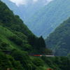5月～♪　トロッコ列車が行く～♪　1