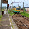 かぼちゃ君