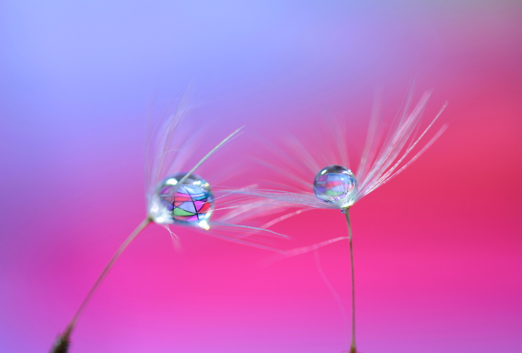 心海ＤＲＯＰＳ・・・