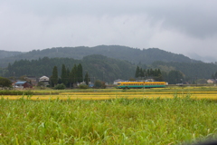 かぼちゃ君が行く~♪