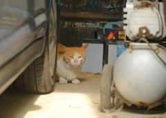 妻子が世話になってるけど、ついでに俺も面倒見てくれ！