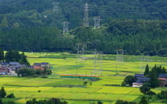 実りの田園を走る～かぼちゃ君^^♪
