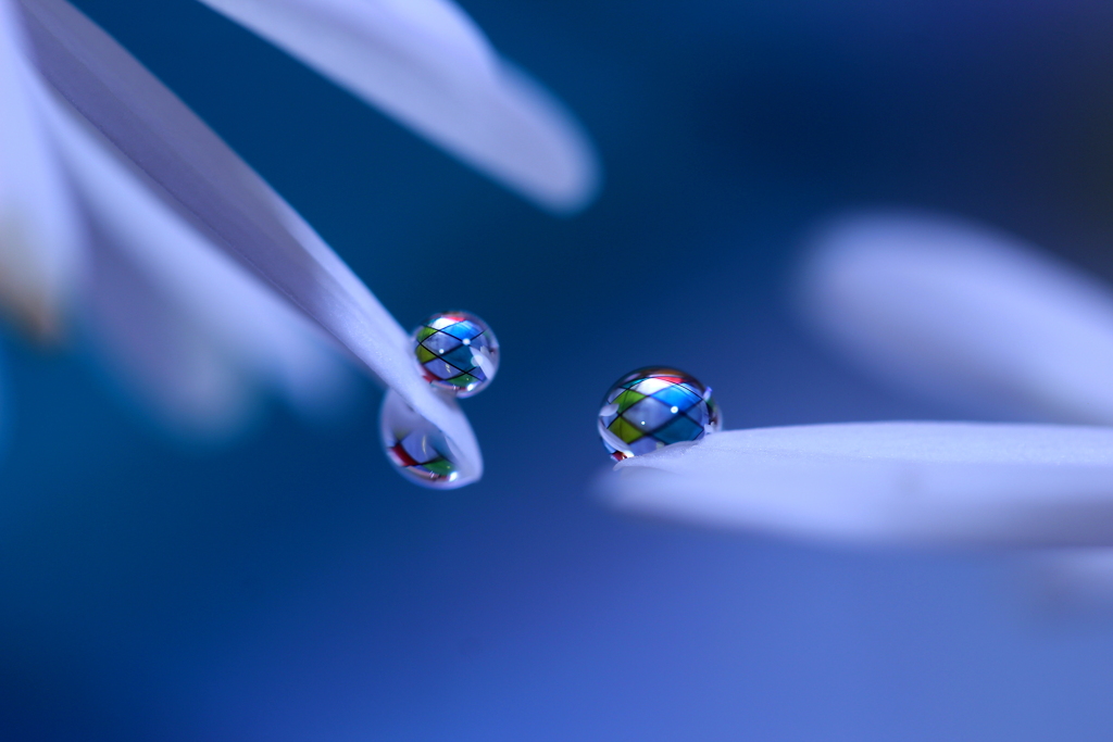 心海ＤＲＯＰＳ・・・ファンタジー2