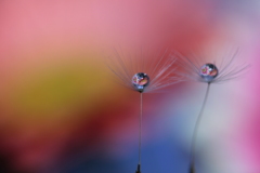 花畑を離れ上空へと旋回します♪