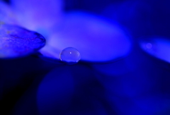 地上の星（蒼より青くありたいと・・・）