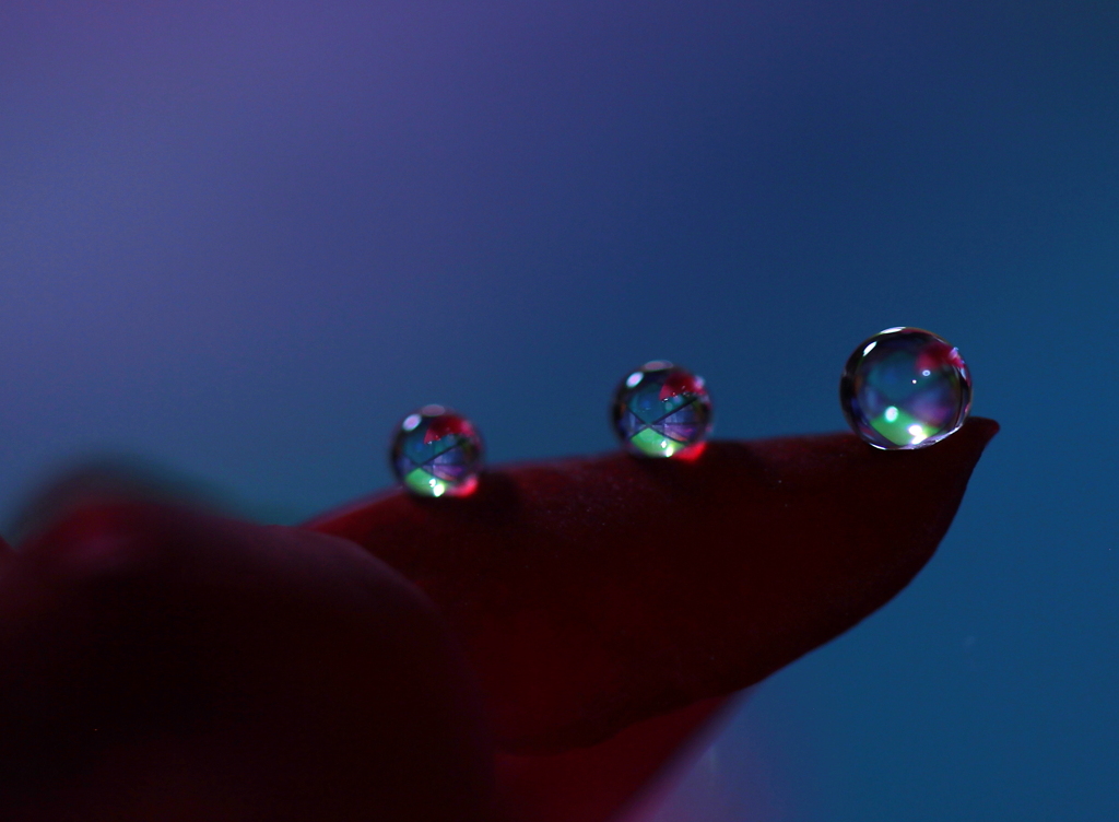 心海ＤＲＯＰＳ・・・　続1