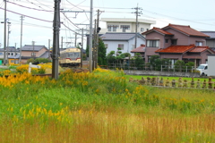 電車君の通る場所