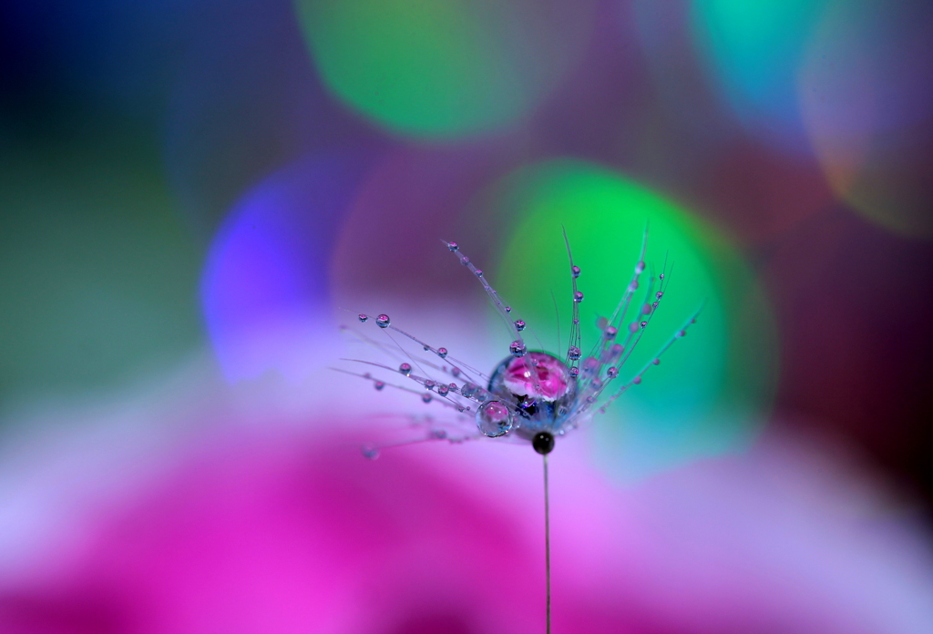 夢の途中　（地上の星）