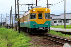 かぼちゃ君・・・♪