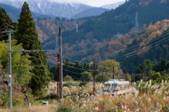 ダイコン君、山へ向かう～♪
