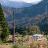ダイコン君、山へ向かう～♪
