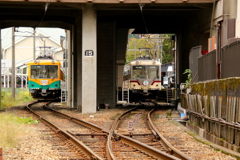 かぼちゃ電車君とダイコン君～♪