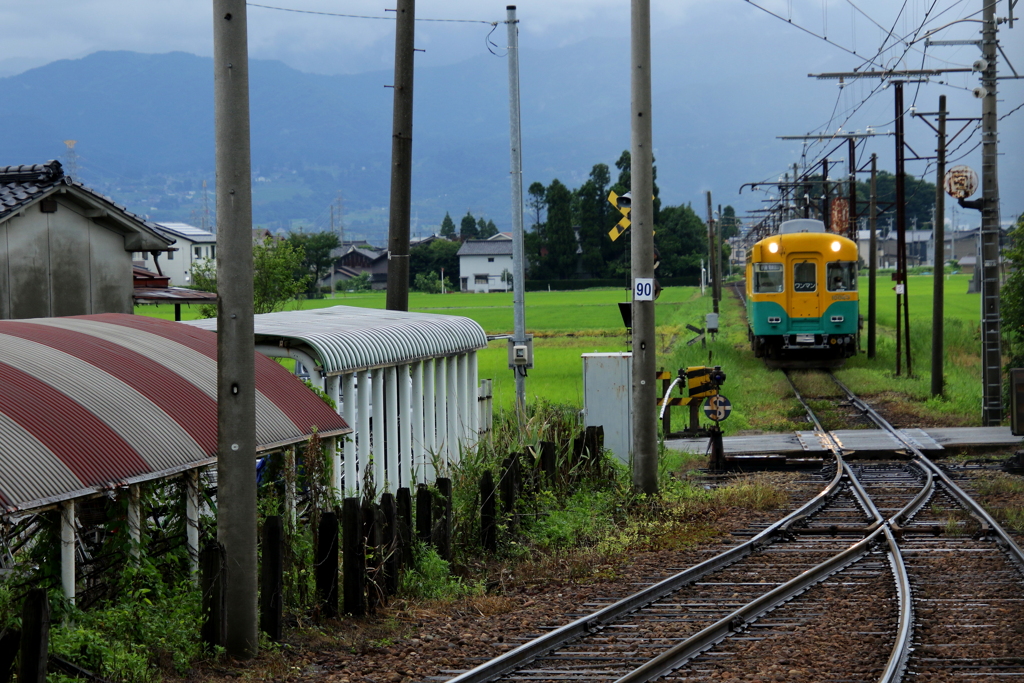 さて、問題です。左右　←　→　どちらへ行くでしょう^^♪