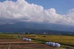 稲刈り進む田園風景
