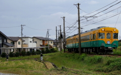 かぼちゃ君がゆく~♪