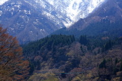 カボチャ電車君は何処に？