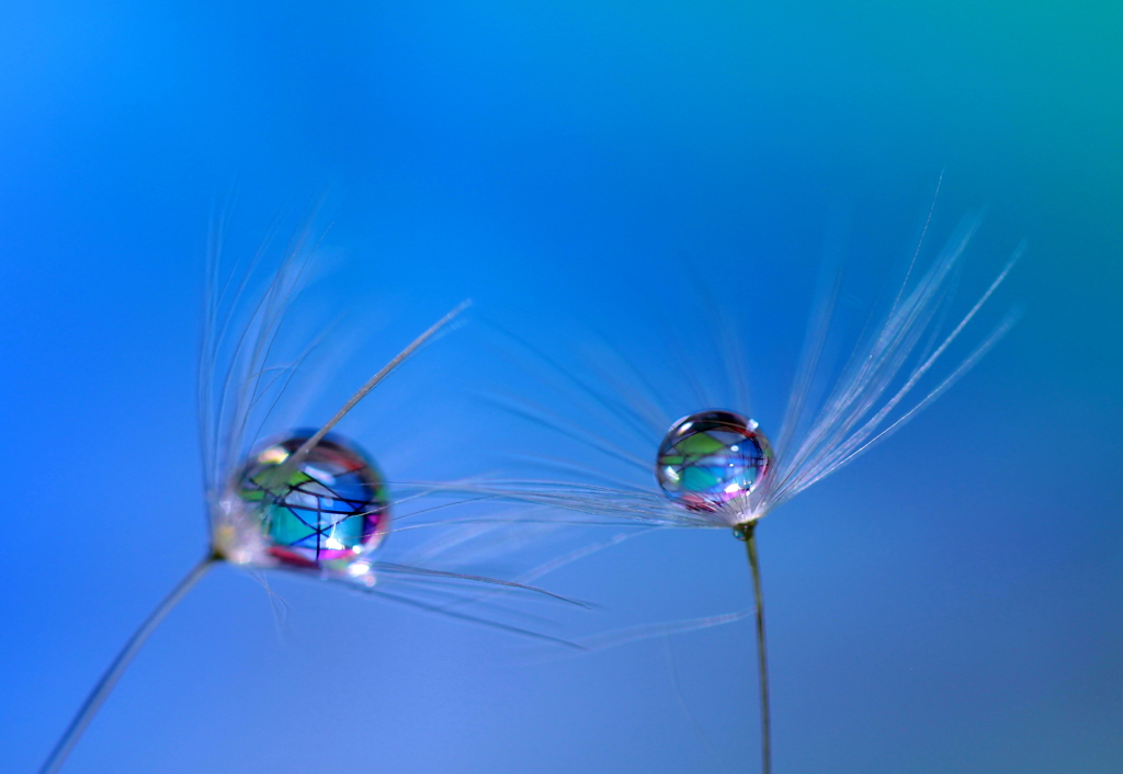 心海ＤＲＯＰＳ・・・