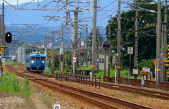 ブルー君~♪